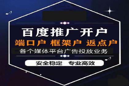百度竞价与搜索引擎优化（SEO）的协同效应案例